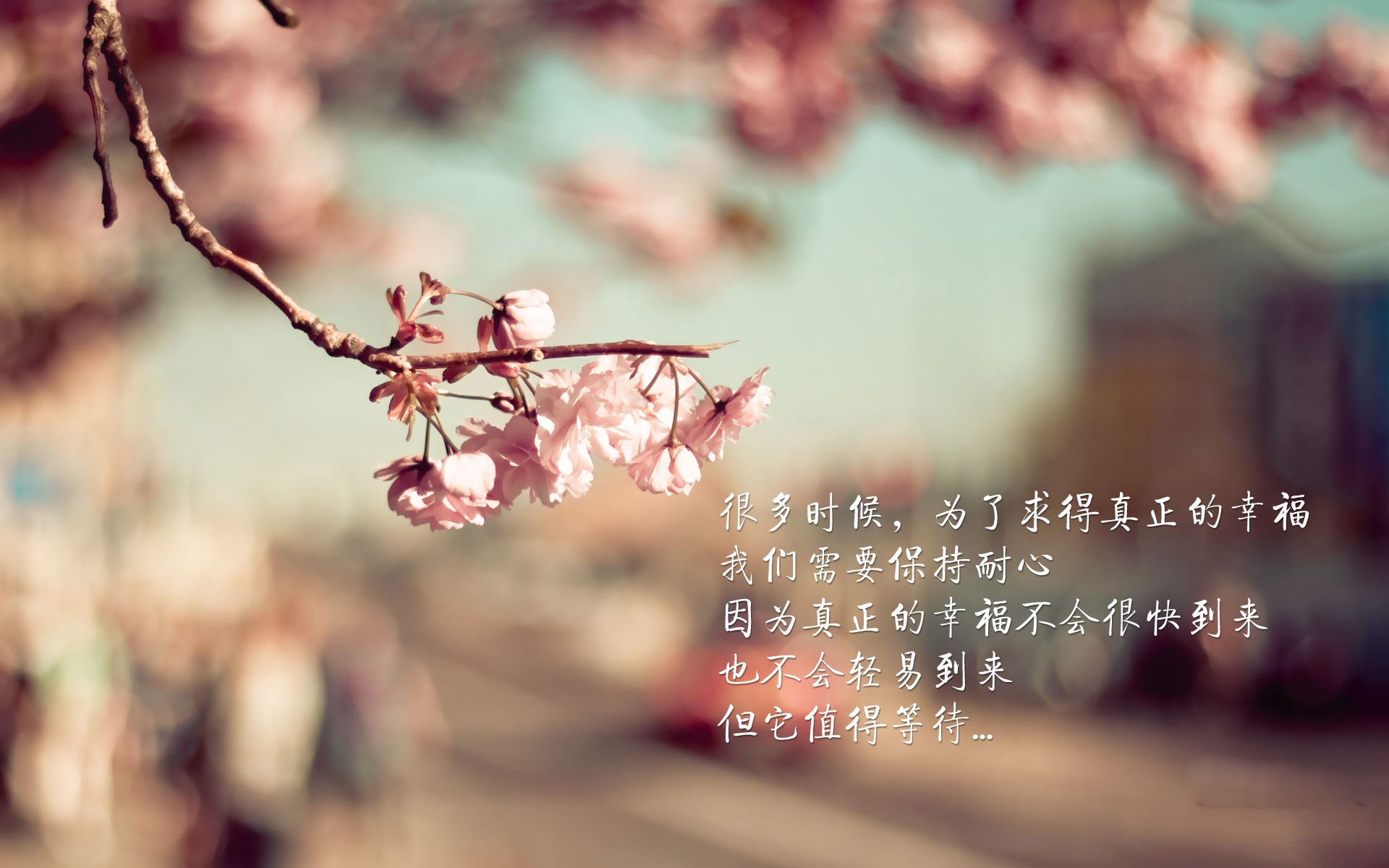 冰岛买单开吹 国内赞助后援欧预赛相关活动,冰岛足球联赛直播