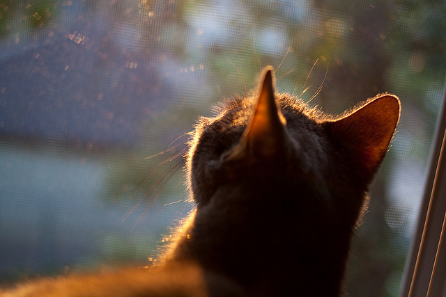 乐鱼电竞· (中国)官方网站-国足体能训练取得新突破，国足体能训练标准