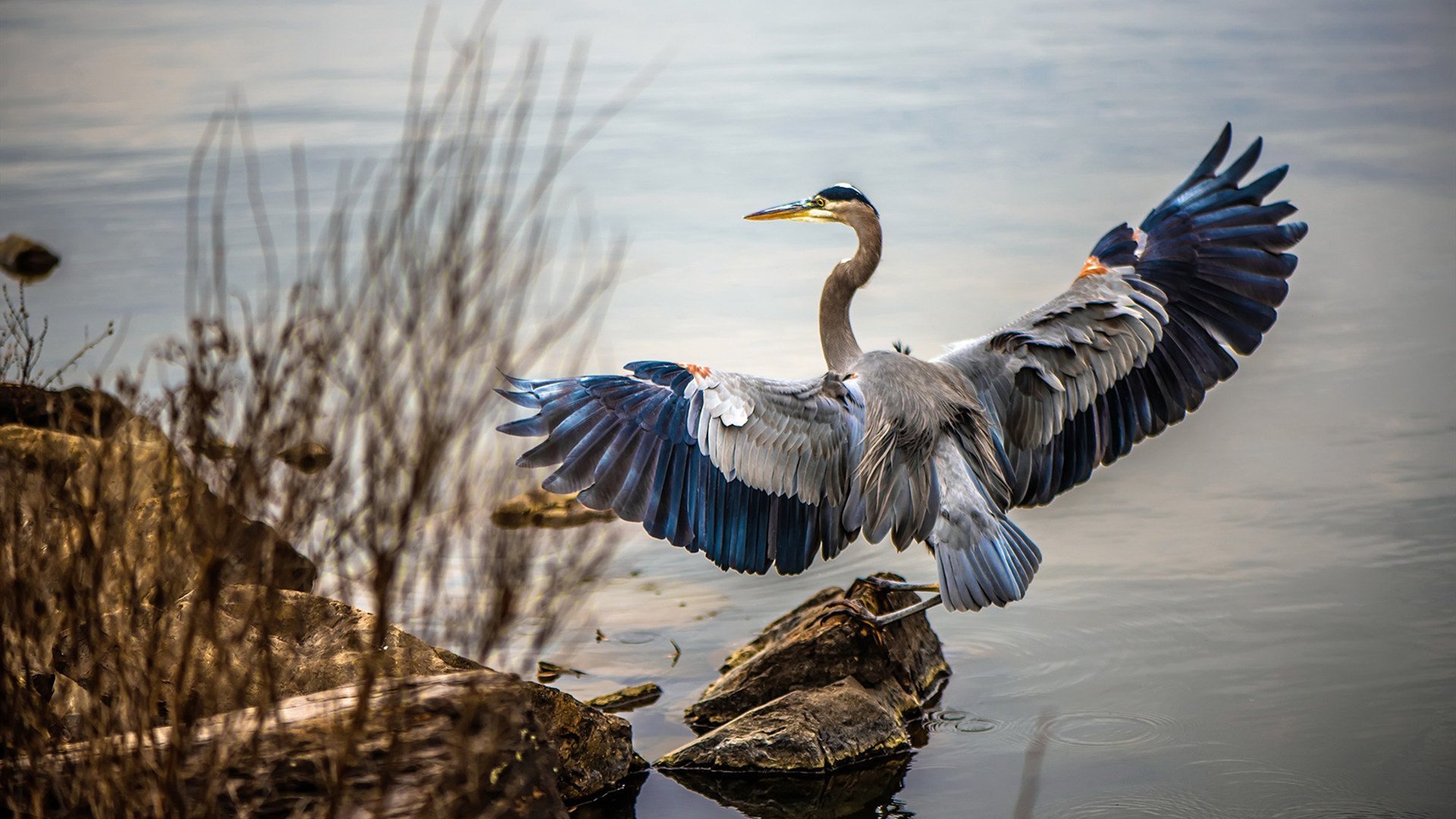 乐鱼官网-山东泰山球员荣获月度最佳，山东泰山球员评分