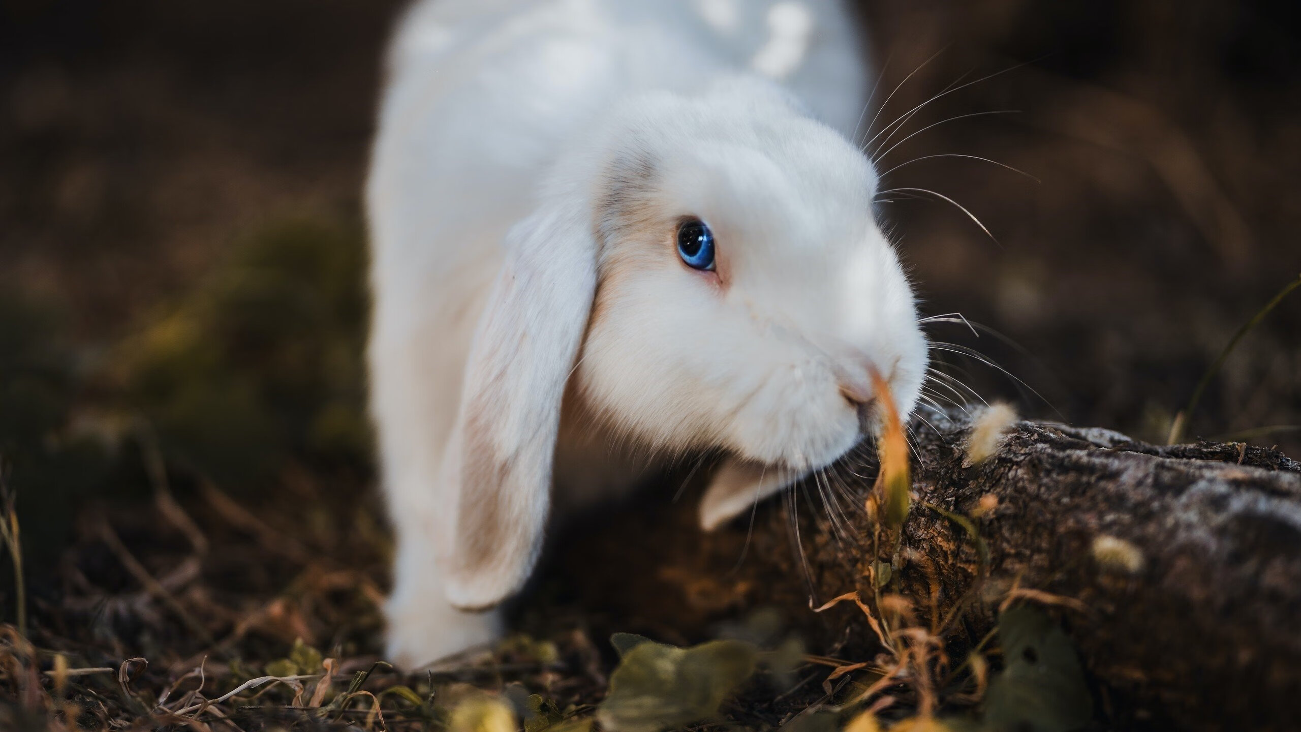 乐鱼官网-开拓者主帅公开晒训练成绩表 队员拼劲十足，开拓者队教练