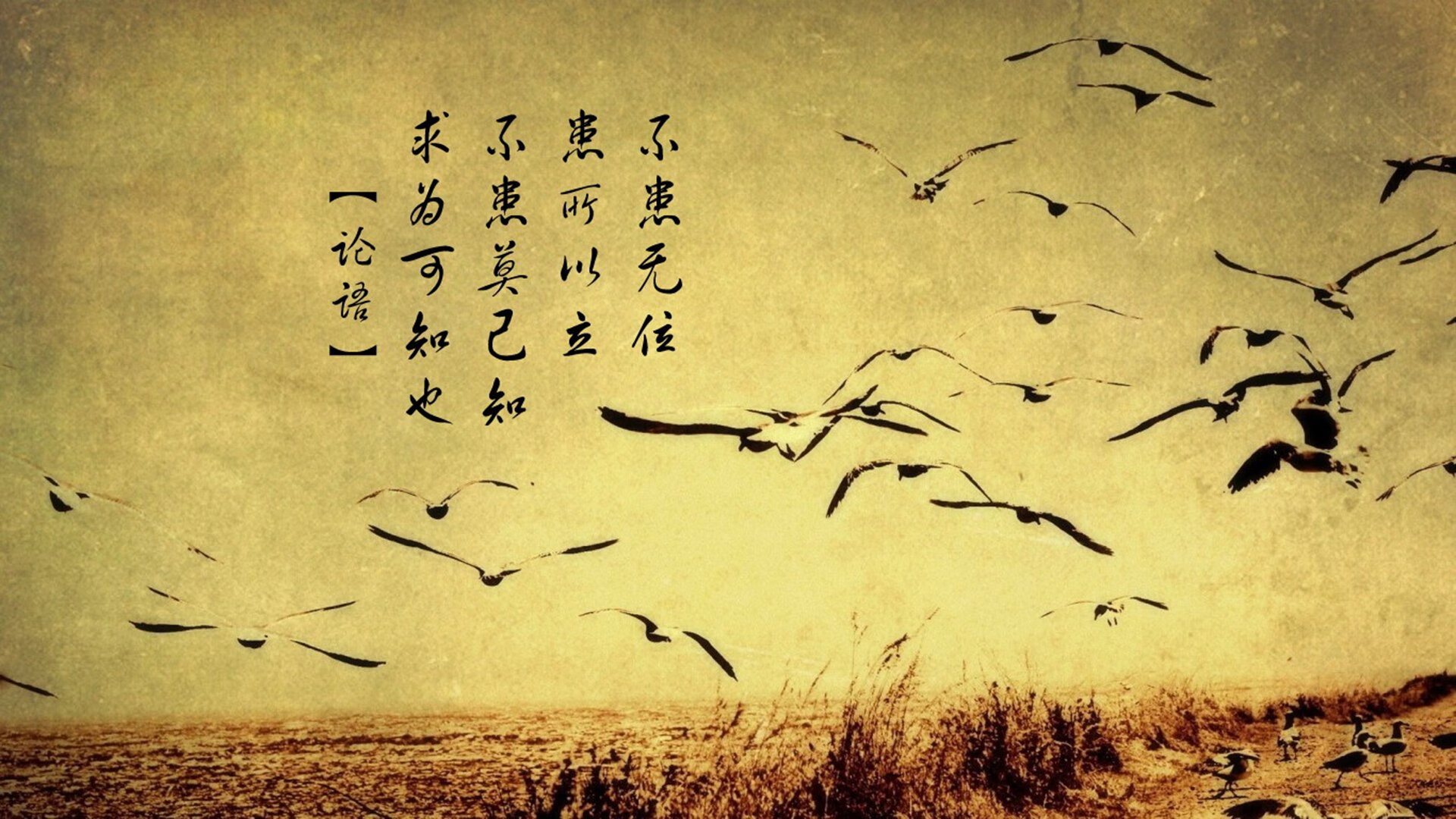 联盟是否应举办历史经典战复刻夜,lol历史活动