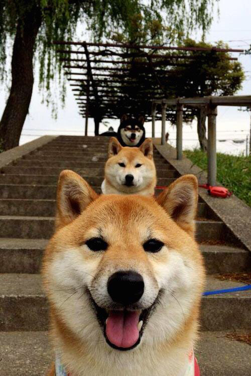 中小学体育教育与心理健康协同机制探索,中小学体育教育与心理健康协同机制探索研究