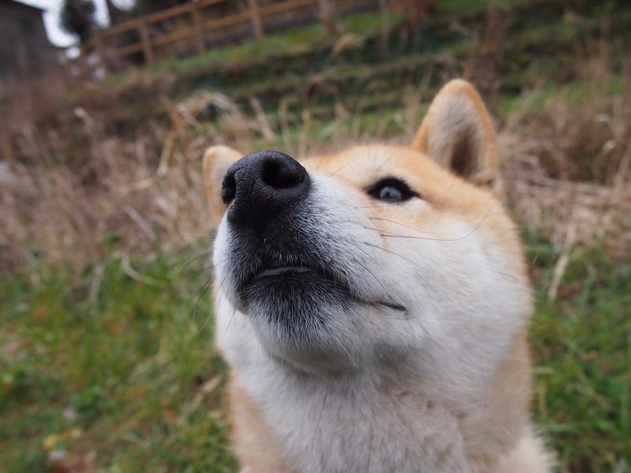 篮球运动员训练负荷智能监控与调整技术研究,篮球专项负荷设计与安排
