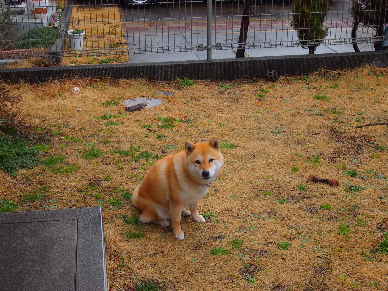 LEYU SPORTS中国官方网站-Chinese Taipei战术：如何通过调动对手产生破绽