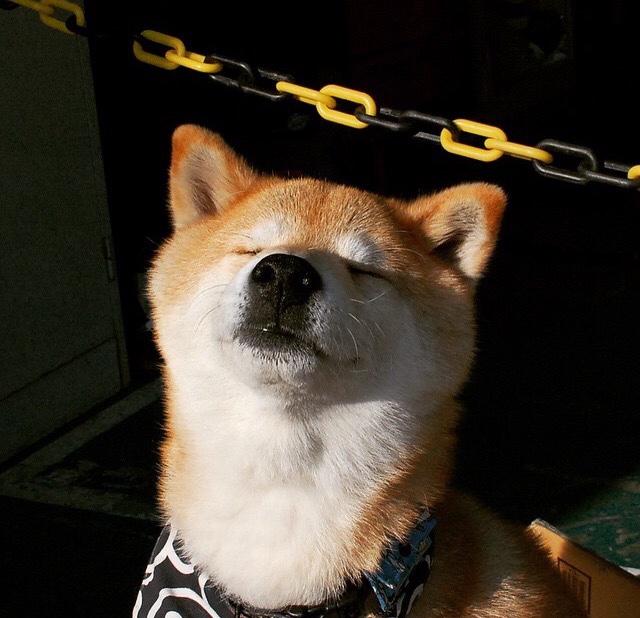 中国女篮重视防守反击 高效阻止对手进攻，中国女篮真棒