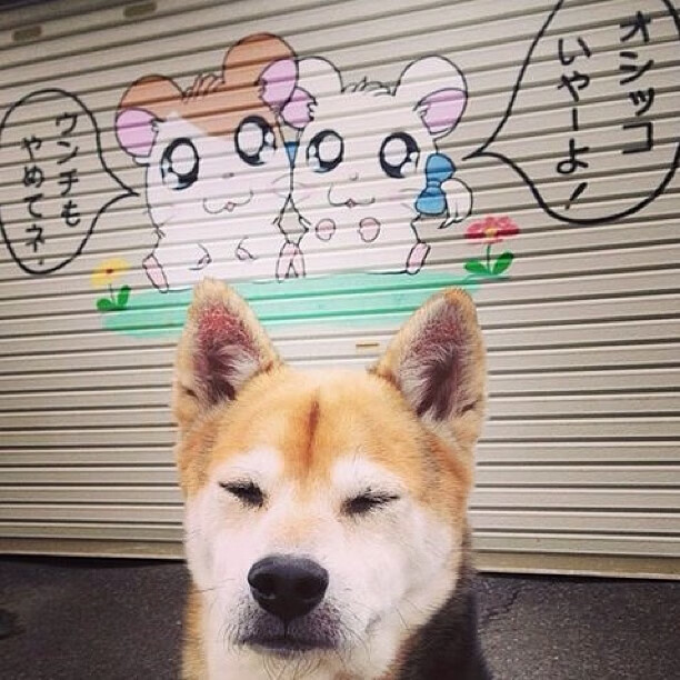 俱乐部官僚化管理影响战术执行效率,俱乐部型管理者