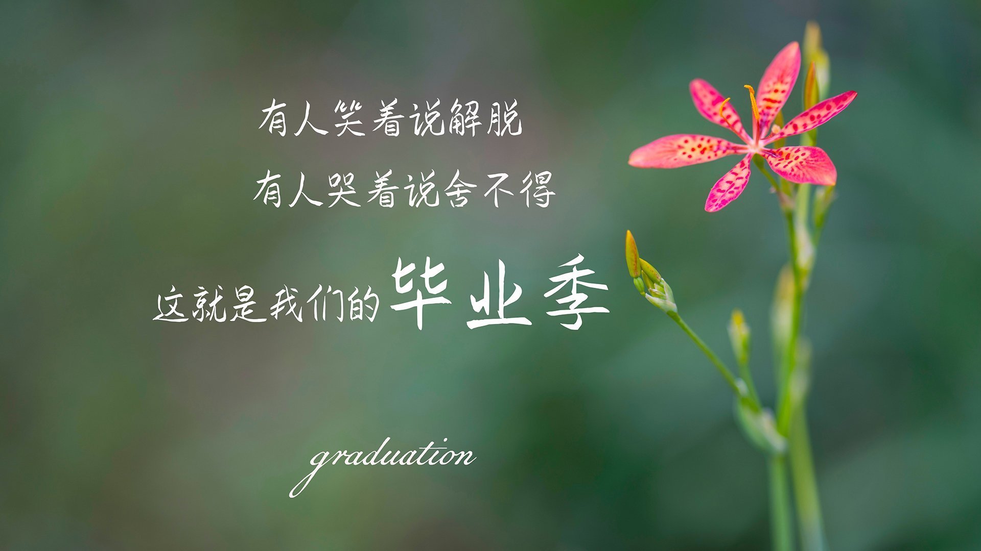 皇家社会快节奏传控创造持续威胁，皇家社会在实况里叫什么