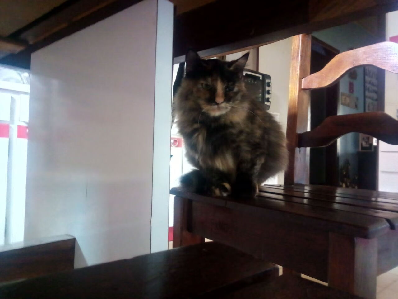 库里带队逆转勇士教练战术奏效，库里逆转热火