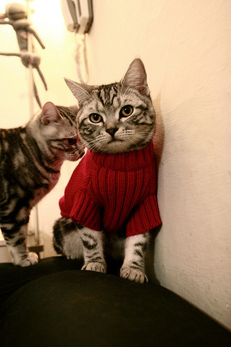 麦肯齐:全黑队攻防转换的关键球员,每次反击都充满威胁,麦肯齐现状