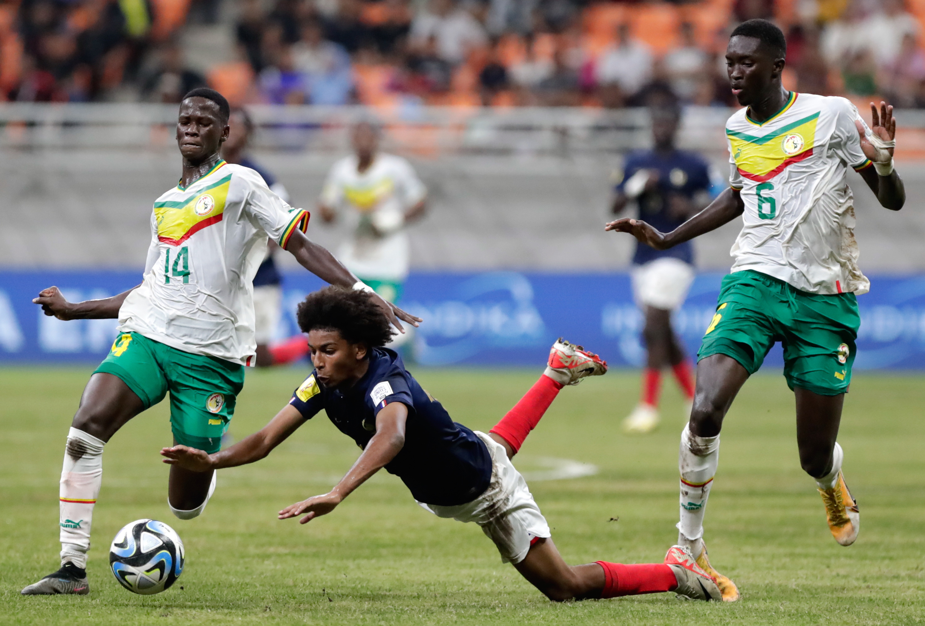 乐鱼体育:体育APP推荐，便捷运动生活的简单介绍